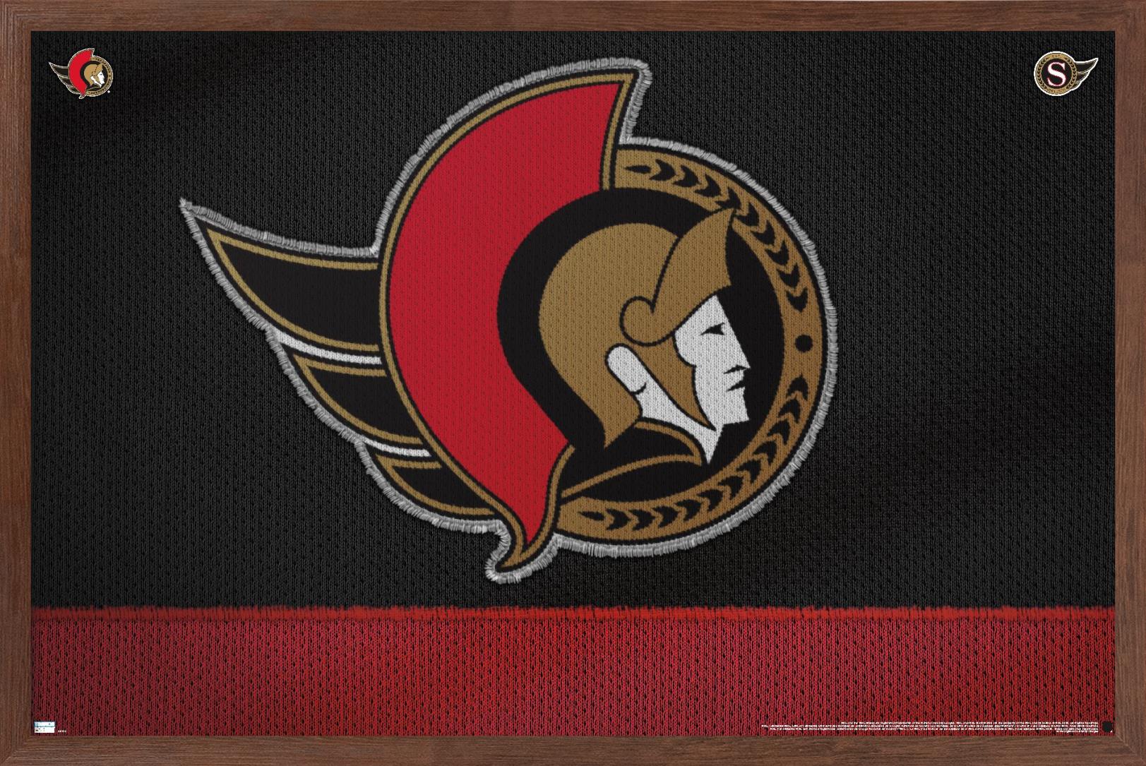 NHL Ottawa Senators - Logo 20 Wall Poster, 14.725" x 22.375", Framed - image 1 of 5