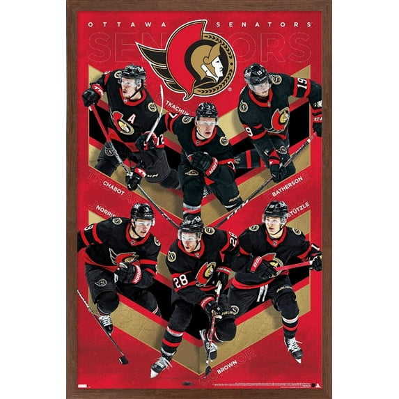 NHL Ottawa Senators - Team 21 Wall Poster, 22.375" x 34", Framed