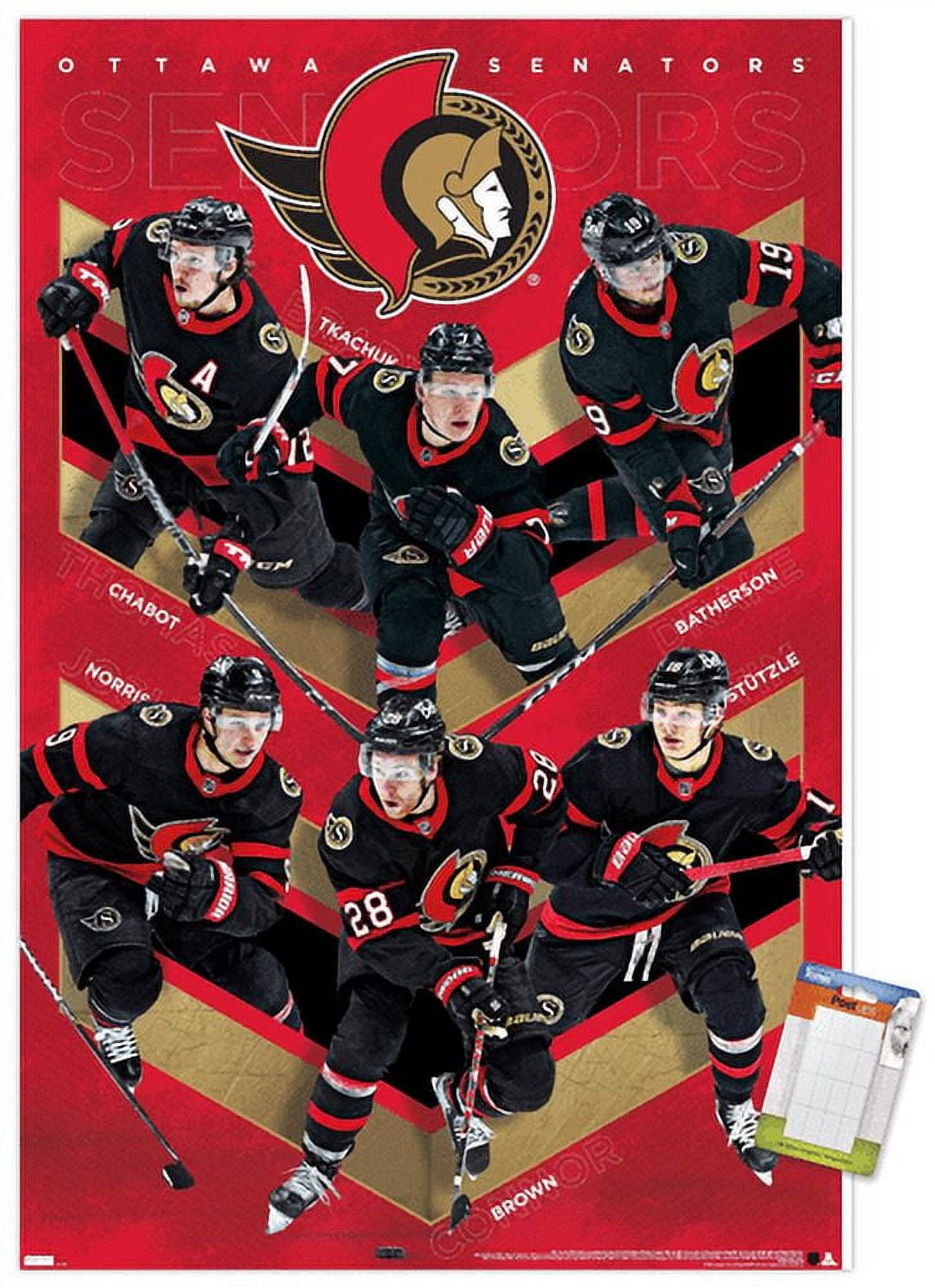 NHL Ottawa Senators - Team 21 Wall Poster, 22.375" x 34"
