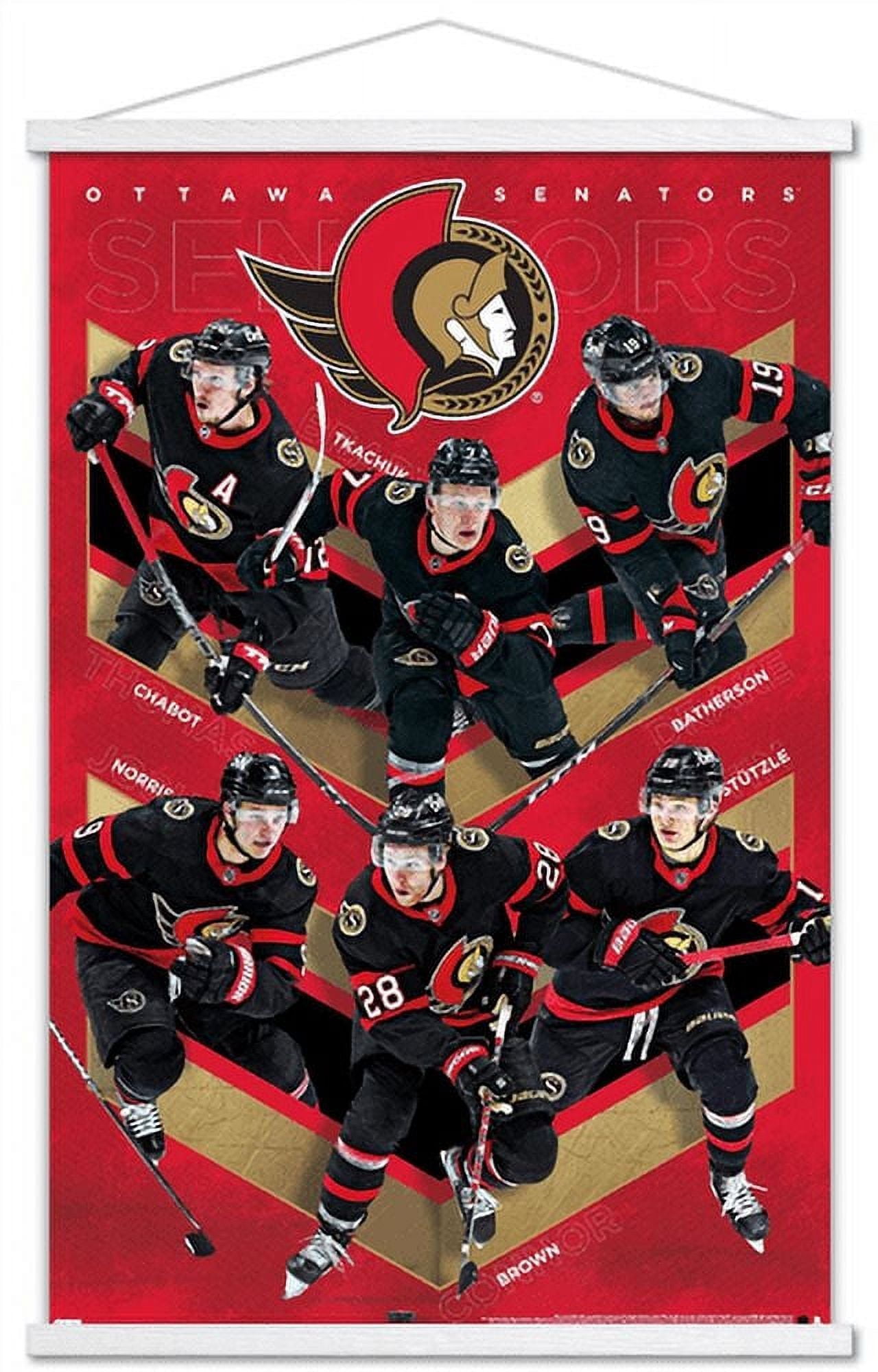 NHL Ottawa Senators - Team 21 Wall Poster with Wooden Magnetic Frame, 22.375" x 34"