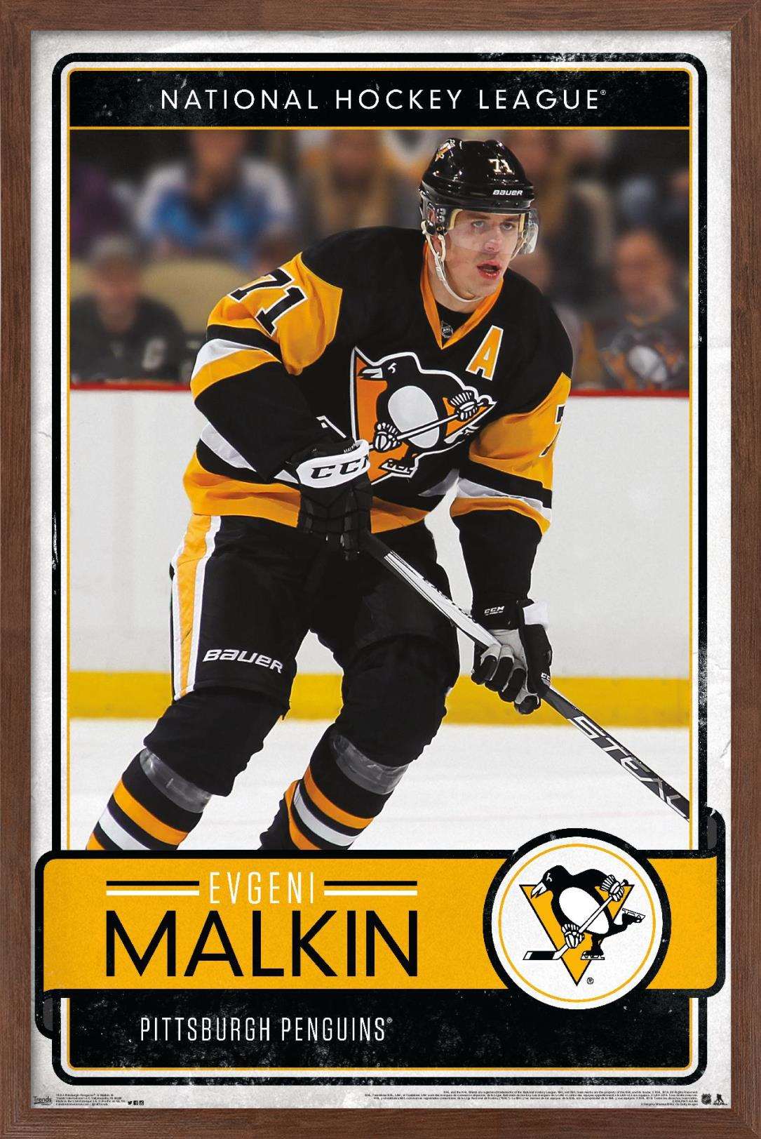 NHL Pittsburgh Penguins - Evgeni Malkin 16 Wall Poster, 14.725" x 22.375", Framed