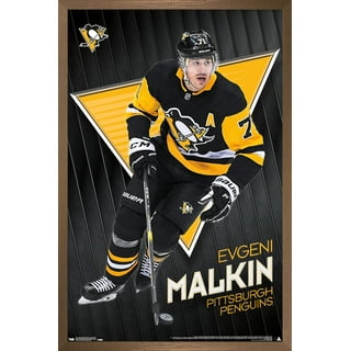 CCM, Shirts, Pittsburgh Penguins Winter Classic 21 Evgeni Malkin Jersey  Size 48