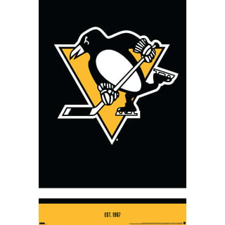 Officially Licensed NHL Heavy Duty Car Mat Set - Pittsburgh Penguins