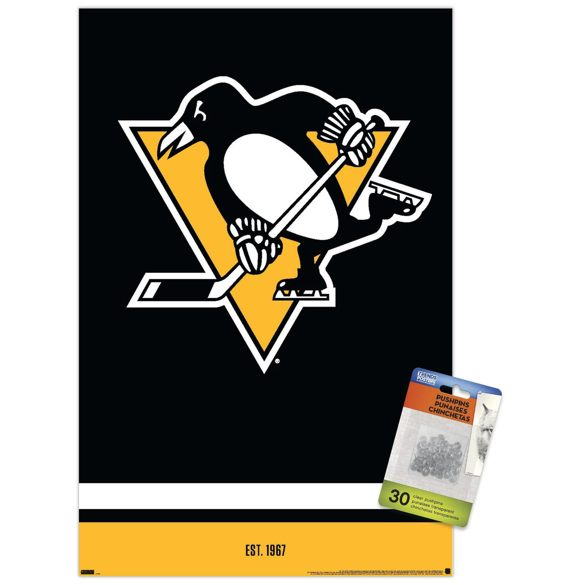 Pin on Pittsburgh Penguins