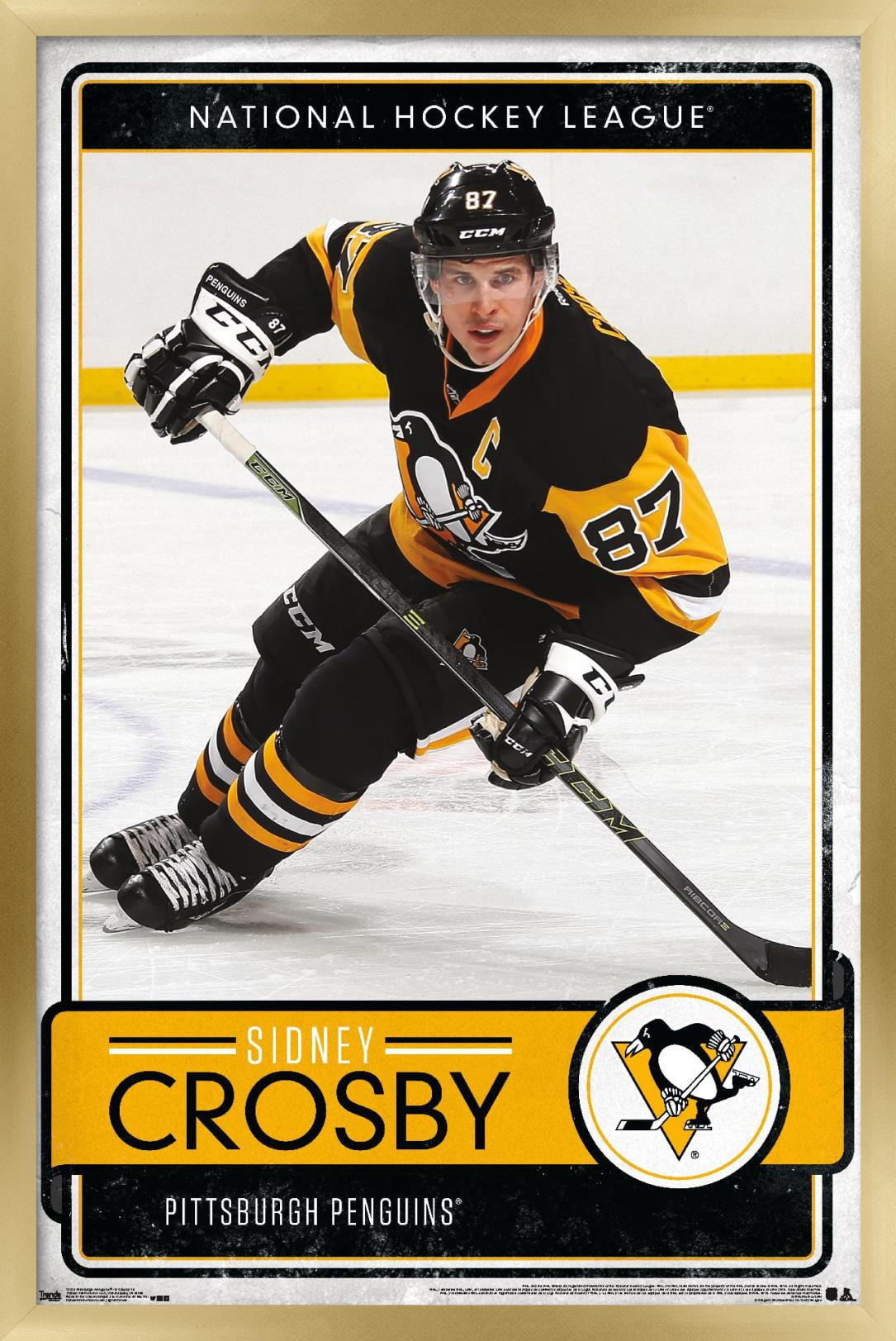 Sidney Crosby artwork, hockey stars, Pittsburgh Penguins, Crosby