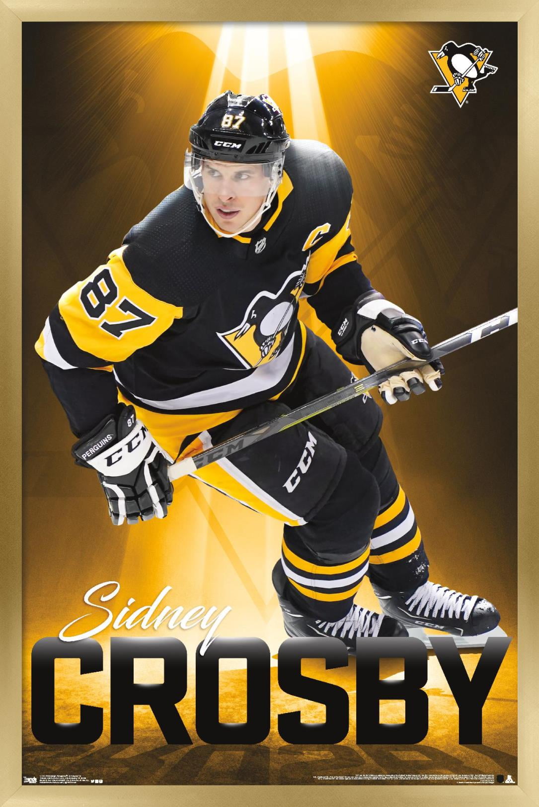 NHL Pittsburgh Penguins - Sidney Crosby 18 Wall Poster, 14.725" x 22.375", Framed