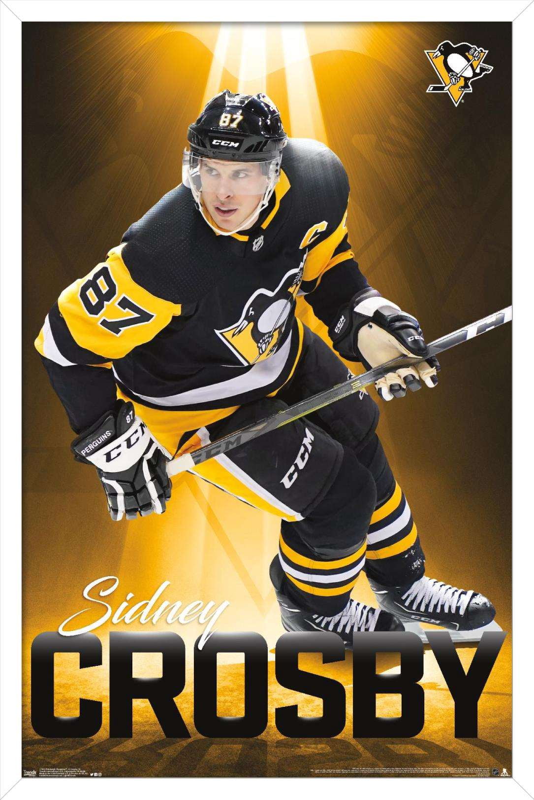 NHL Pittsburgh Penguins - Sidney Crosby 18 Wall Poster, 14.725" x 22.375", Framed