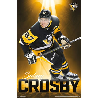 Sidney Crosby Pittsburgh Penguins T Shirt Men Large NHL Hockey Winter  Classic