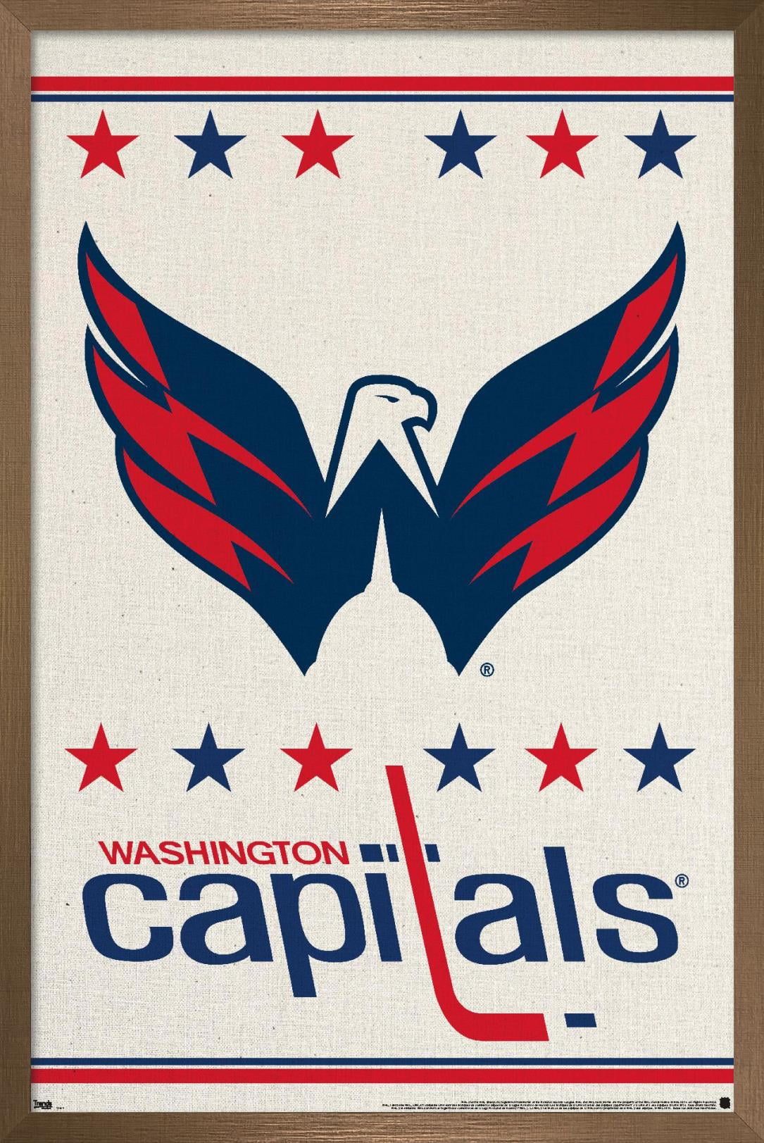 NHL Washington Capitals - Logo 14 Wall Poster, 14.725" x 22.375", Framed