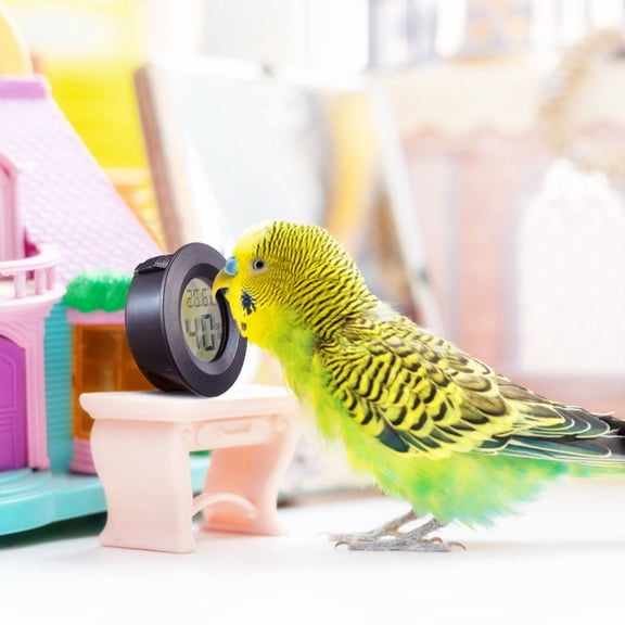 NIAIZEK 4Set Humidity Meter for Terrarium Black ABS Temperature Measurement for Pets