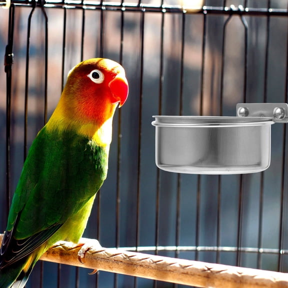 NIAIZEK Stainless Steel Parrot Feeder, Silver, Durable and Elegant, All-in-One Design