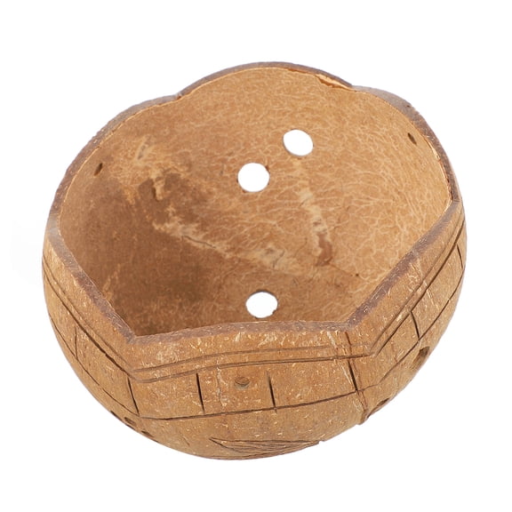 NIAIZEK Brown Hanging Flower Pot Coconut Shell Planter for Home Decoration and Plant Maintenance