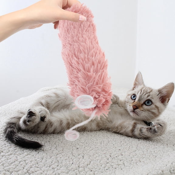 NIAIZEK Exercise and Play Cat Caterpillar Toy Catnip For Kittens With Entertainment 1Pcs