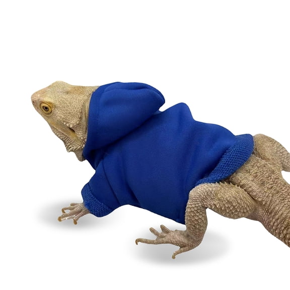 NIAIZEK Cotton Reptile Costume Reptile Hoodies 1Set Quick Drying for Pet Owners