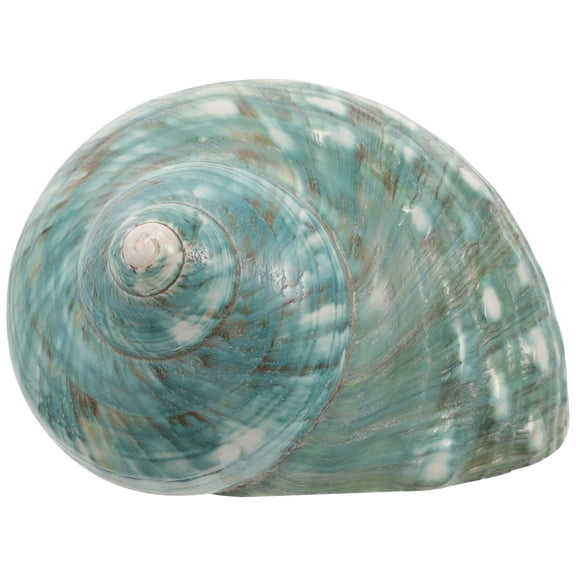 NIAIZEK Dark Green Hermit Crab Shells Small Aquarium Conch Decoration for Fish Tank Landscape