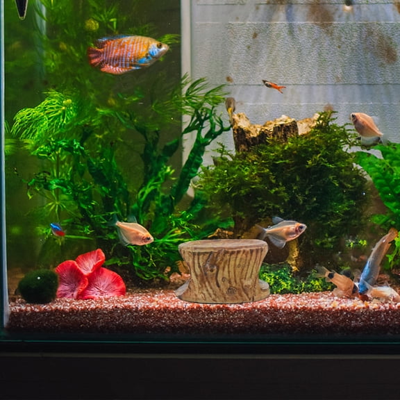 NIAIZEK Multicolor Ceramic Aquarium Fish Cave and Turtle Basking Platform for Fish Habitat