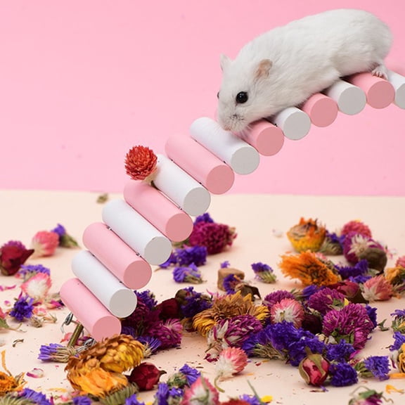 NIAIZEK Hamster Accessory Stainless Steel Ladder Shape 1 Pcs for Desktop Decoration