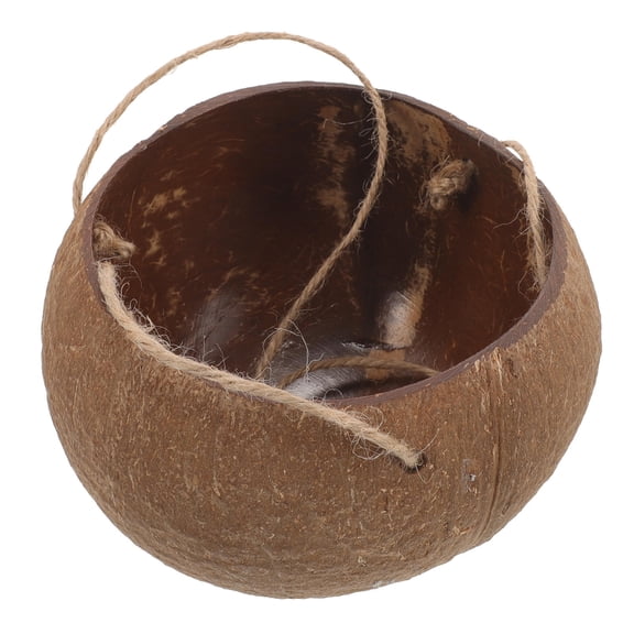NIAIZEK 10 Inch Light Brown Coconut Shell Hanging Planter for Indoor Plants, and Stylish Pot for Home Decor