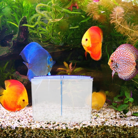NIAIZEK Durable ABS Fish Isolation Box for Aquarium with Air Circulation and Temperature Control