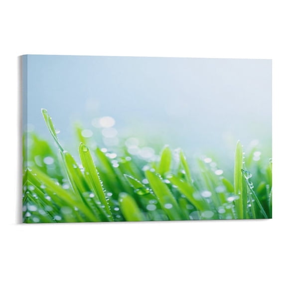 NIANHE Dew on The Grass Blades Wall Art, High-definition Printed Frameless Canvas Wall Art, Suitable for Hanging in Bedrooms, Dormitories, and Living Rooms, for Adult and Home Decoration