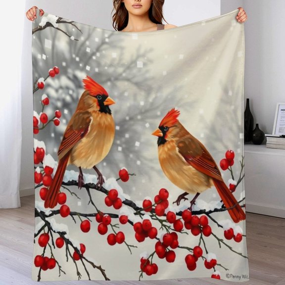NIANHE Little Bird in the Snow blanket, comfortable and soft, warm casual blanket, printed design, winter sofa dormitory home decoration, must-have travel product. Size is 30x40 inches.