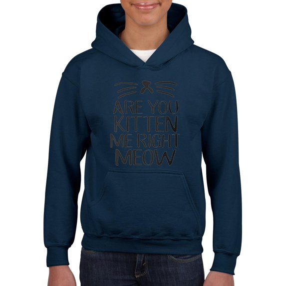 NIB - Big Boys Hoodies and Sweatshirts - Are You Kitten Me Right Meow