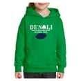 thumbnail image 1 of NIB - Big Boys Hoodies and Sweatshirts - Denali National Park, 1 of 5