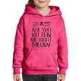 thumbnail image 1 of NIB - Big Girls Hoodies and Sweatshirts, up to Big Girls Size 24 - Are You Kitten Me Right Meow, 1 of 5
