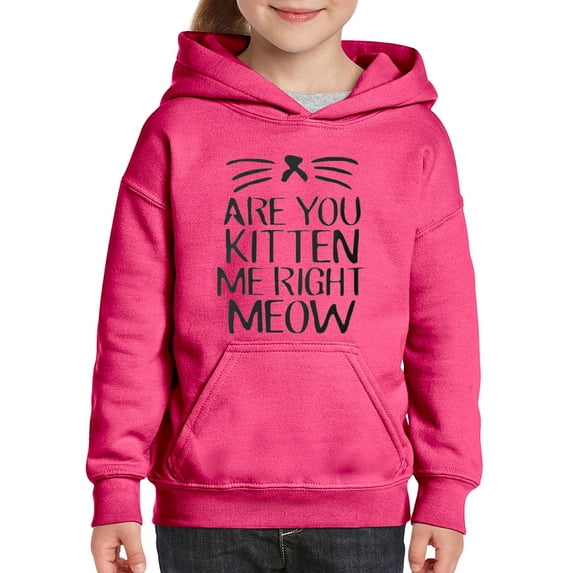 NIB - Big Girls Hoodies and Sweatshirts, up to Big Girls Size 24 - Are You Kitten Me Right Meow