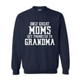 thumbnail image 1 of NIB - Mens Sweatshirts and Hoodies, up to Size 5XL - Promoted to Grandma, 1 of 5