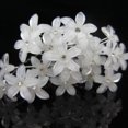 thumbnail image 1 of NIBOLOG 20 Pcs Women's Wedding Bridal Jewelry U Shaped White Flower Hair Pins Clips, 1 of 7