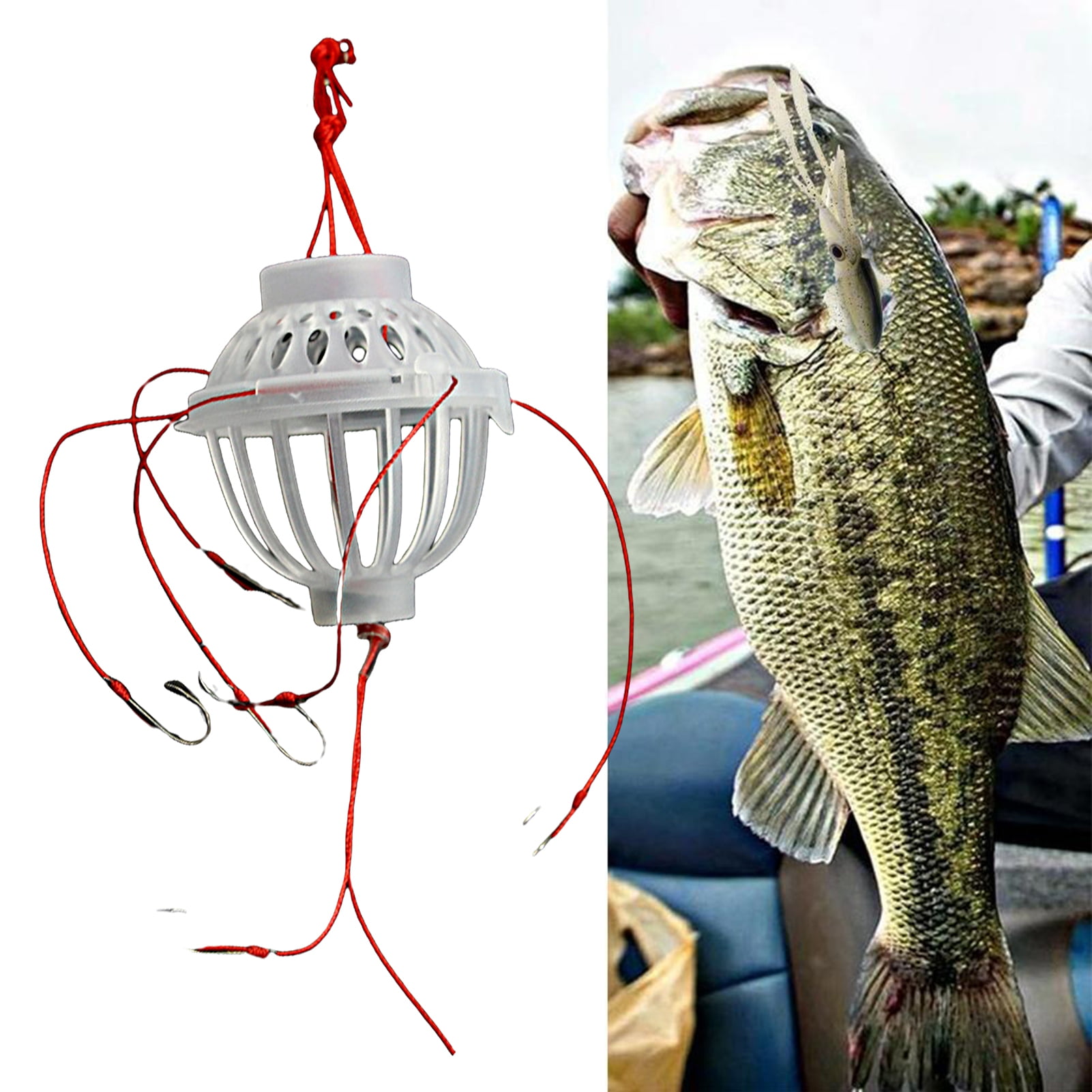 6000 size reel for surf fishing Rockaway Spinning & Baitfeeder Reels Available in multiple sizes survival fishing gear SPIDER BASS! Fishing a Size:ECLTBR3000 (5.2:1)