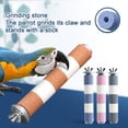 thumbnail image 1 of NIBOLOG Bird Stand Pole Comfortable Grip Parrot Perches Cage Playtime Parrot Bird Chew Toy Bite-resistant Detachable Pet Supply, 1 of 8