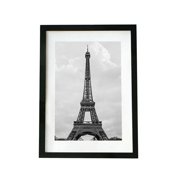 NIBOLOG Easy to Hang Picture Frame Modern Wall Mount Photo Frame for Picture Art Painting Poster Display Lightweight Durable Pvc Panel Picture for Home