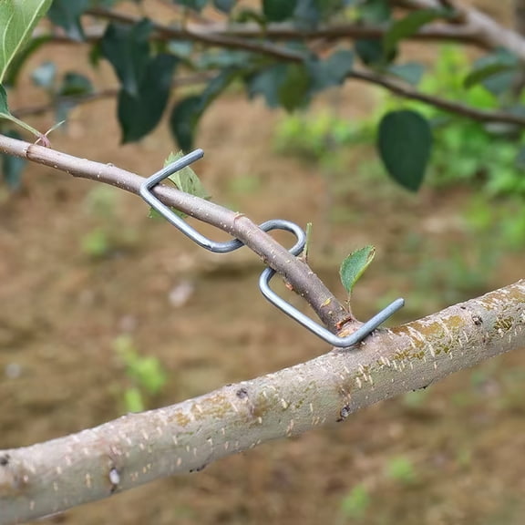 NICERIO 1Set Professional Plant Branch Spreader for Garden Trees and Flowering