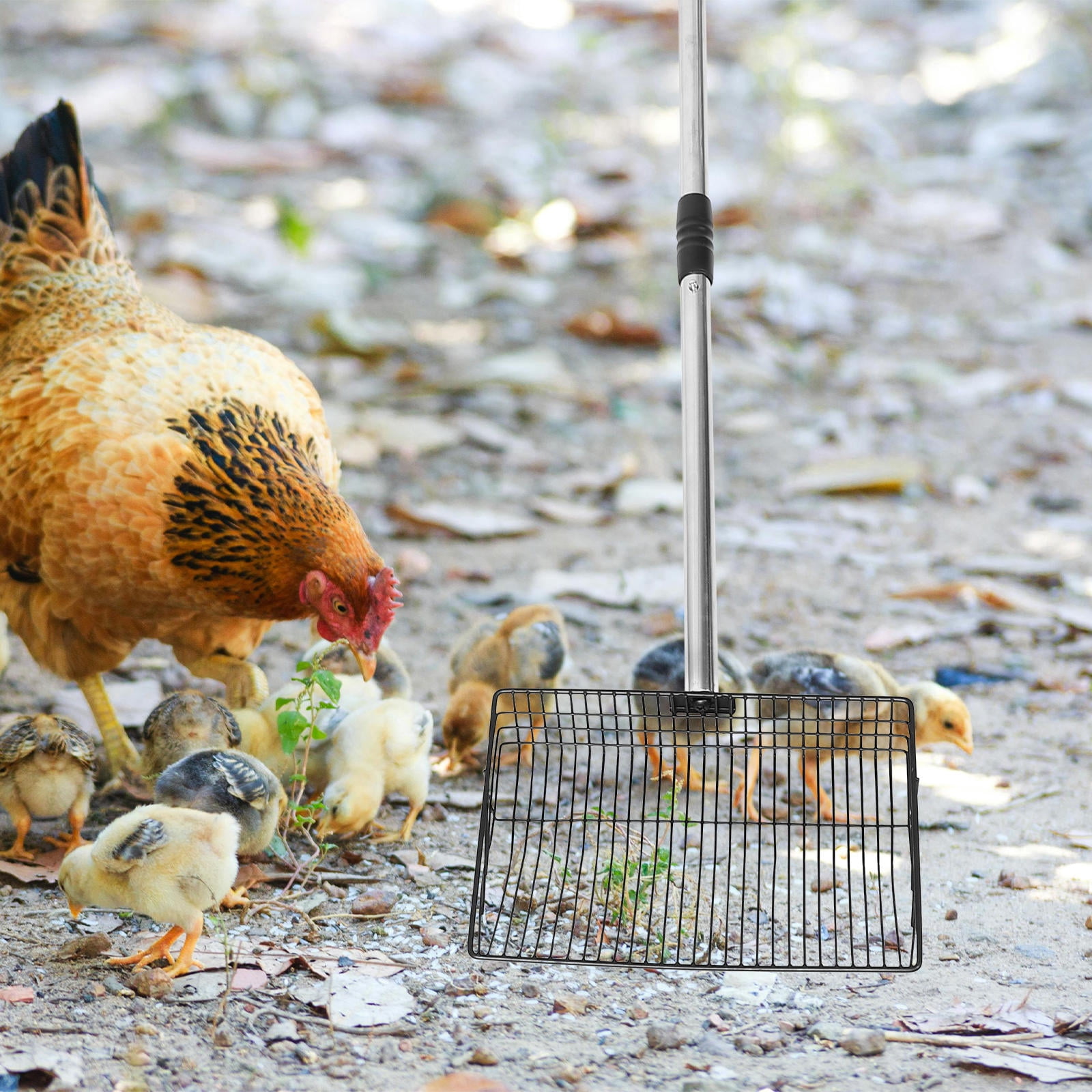 NICERIO Chicken Manure Scooper, Stainless Steel, Long Handle, Wide ...