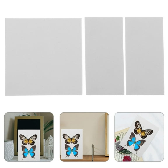 NICERIO Insect Specimen Tools Kit Specimen Board White EVA Foam 1Pack