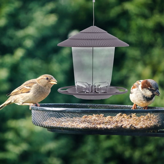 NICERIO Grey Plastic Bird Feeder for Feeding with Large Capacity and Easy Refill Hanging on Tree or Balcony 6.5 Inches