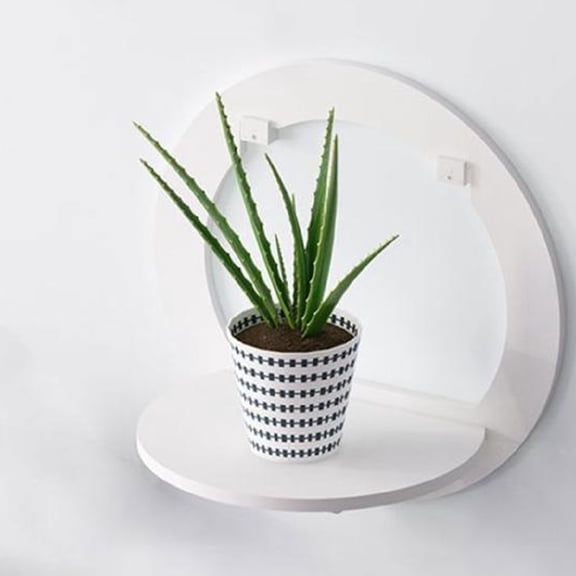 NICERIO Kitchen Wall Shelves White Wood Plastic Plate Strong Load-bearing 1Set