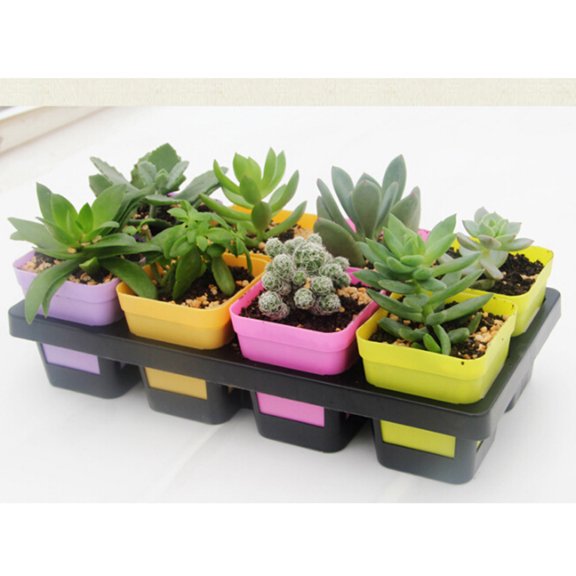 NICERIO Black 8-Cell Plant Pot Organizer for Small Plants Office Bookshelf