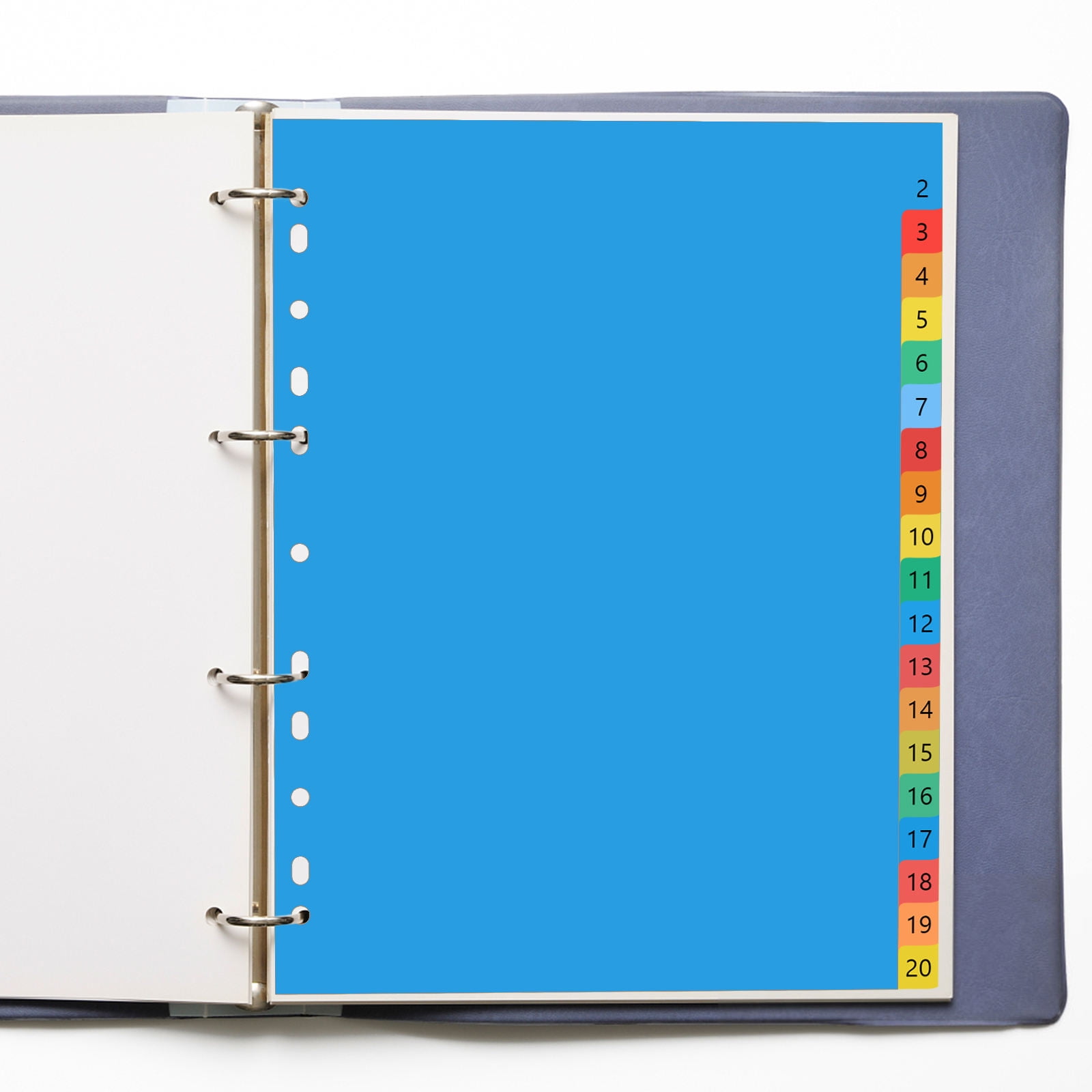 NICEXMAS A4 Size Numbered Plastic Tab Dividers, 20 Pages Assorted ...