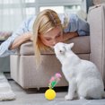 thumbnail image 1 of NICEXMAS 24pcs Colorful Cat Toy Set - Fun Interactive Pet Supplies for Cats at Home or Store Playtime, 1 of 5