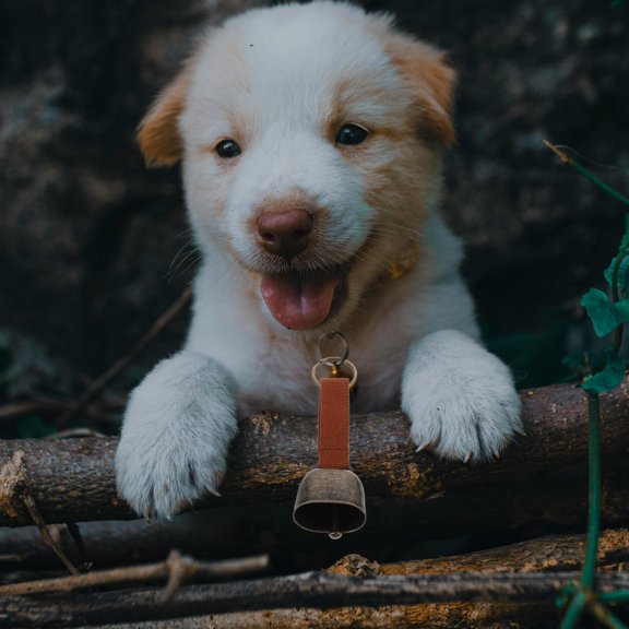 NICEXMAS 2Pcs Ultra Loud Small Bell for Dog Collar with Clip Black Outdoor Pet Bells for Hiking and Camping