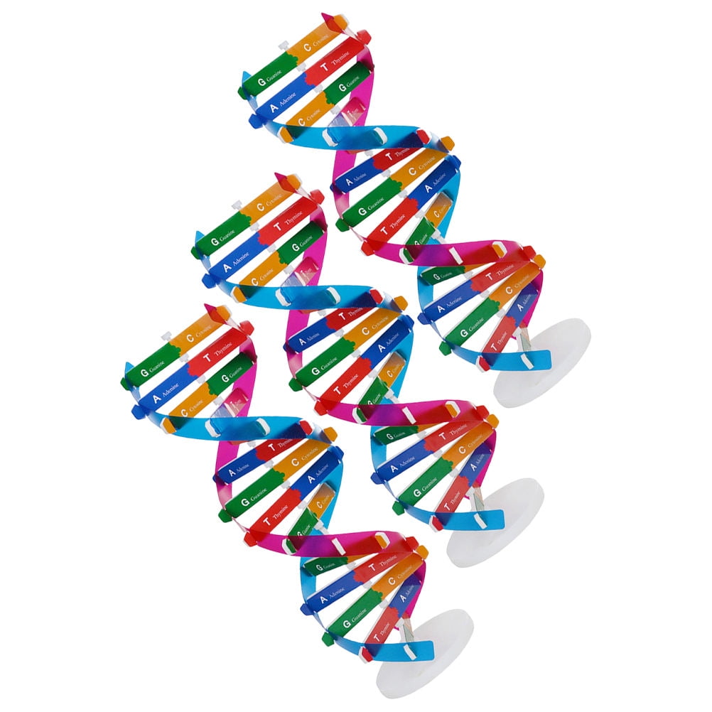 NICEXMAS 3Pcs DIY Double Helix Dna Model Kit Molecular Structure Biology Education Tool for Home Use