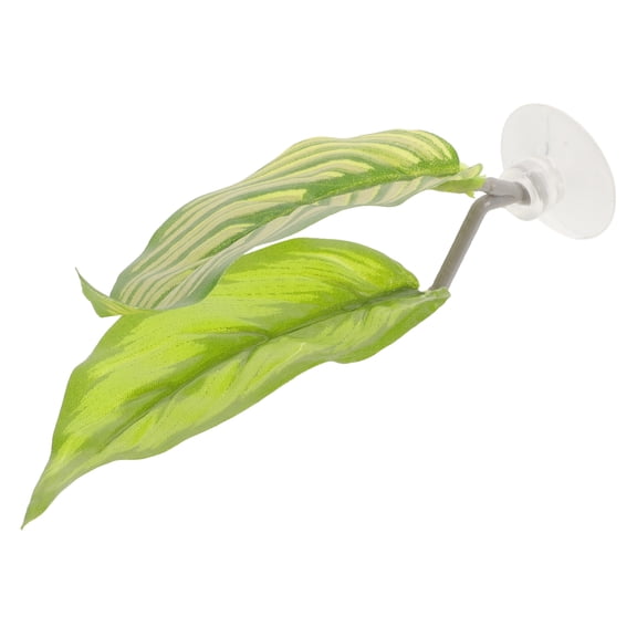 NICEXMAS Betta Fish Leaf Adorn for Natural Look 1Pcs Green