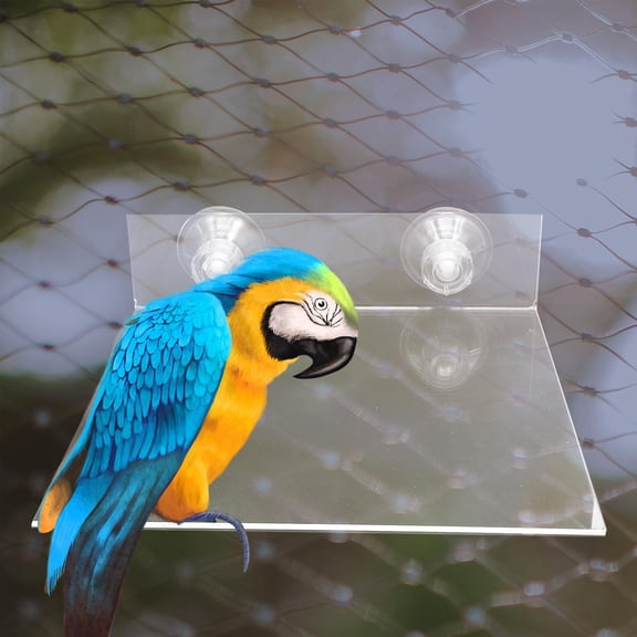 NICEXMAS Bird Perch Platform with Strong Suction Cup for Parrot Stand and Wall Or Window Mount