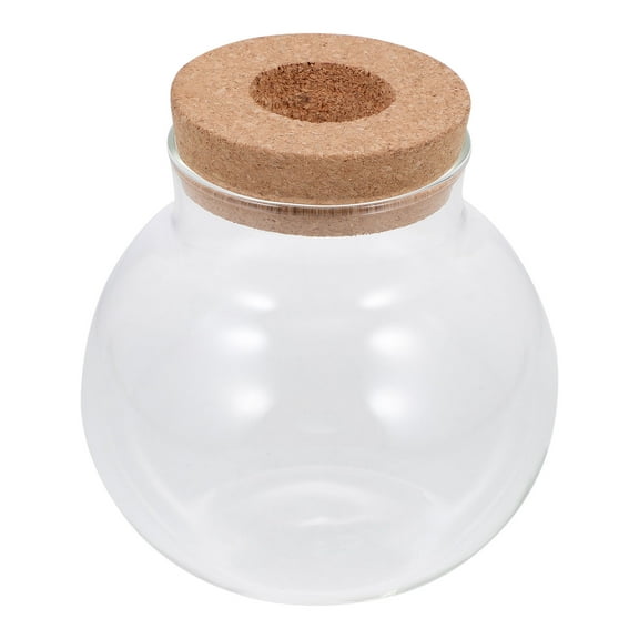 NICEXMAS Container Planter Vases Small Fish Bowls Micro Landscape Moss Plant Bottle Decorative Glass Bottle Fish Tank Suite