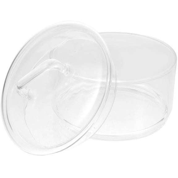 NICEXMAS Salad Container with Transparent High Borosilicate Glass 1Pack for Serving Dessert