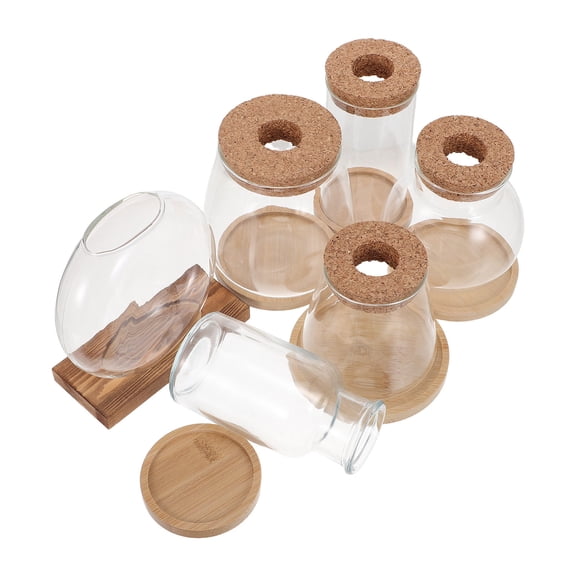 NICEXMAS Hydroponic Planter Bowl 6pcs Glass with Cork Lid for Moss Cuttings