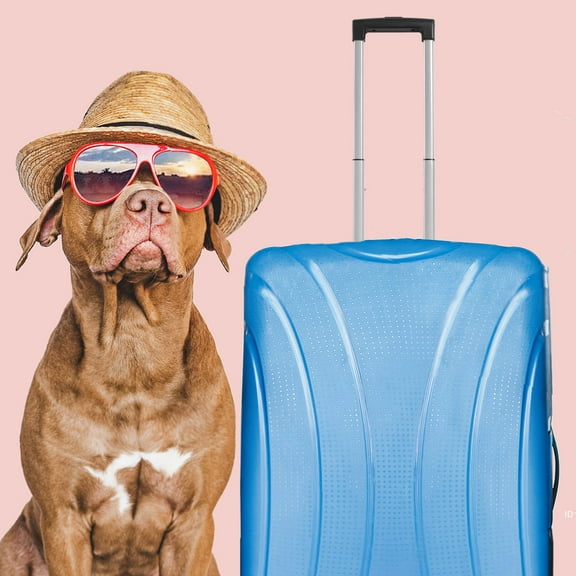 NICEXMAS Handle Replacement Luggage Suitcase Telescopic Handle Silver Plastic 1Pcs